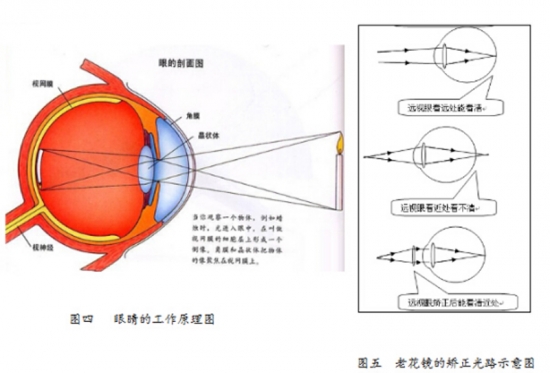 美麗島眼鏡：老花鏡不可隨意亂帶，需要在專(zhuān)業(yè)驗光后科學(xué)配制