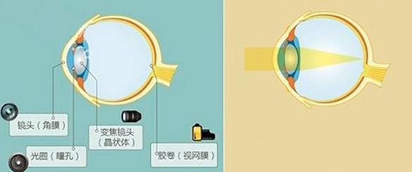 怎么佩戴老花鏡？驗光 品牌 質(zhì)量 保養一個(gè)都不能少