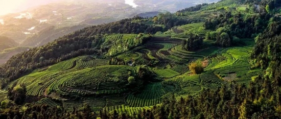 美麗島多焦鏡：這個(gè)明凈新春，以時(shí)間為軸，扶搖直上